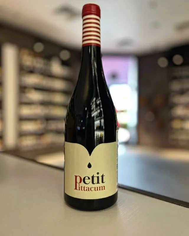 Вино Terras Gauda, "Petit Pittacum", Bierzo DO