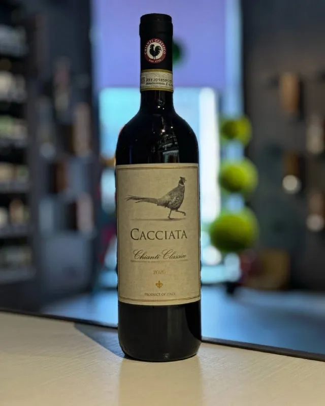 Вино Castellani, "Cacciata" Chianti Classico DOCG, 2020